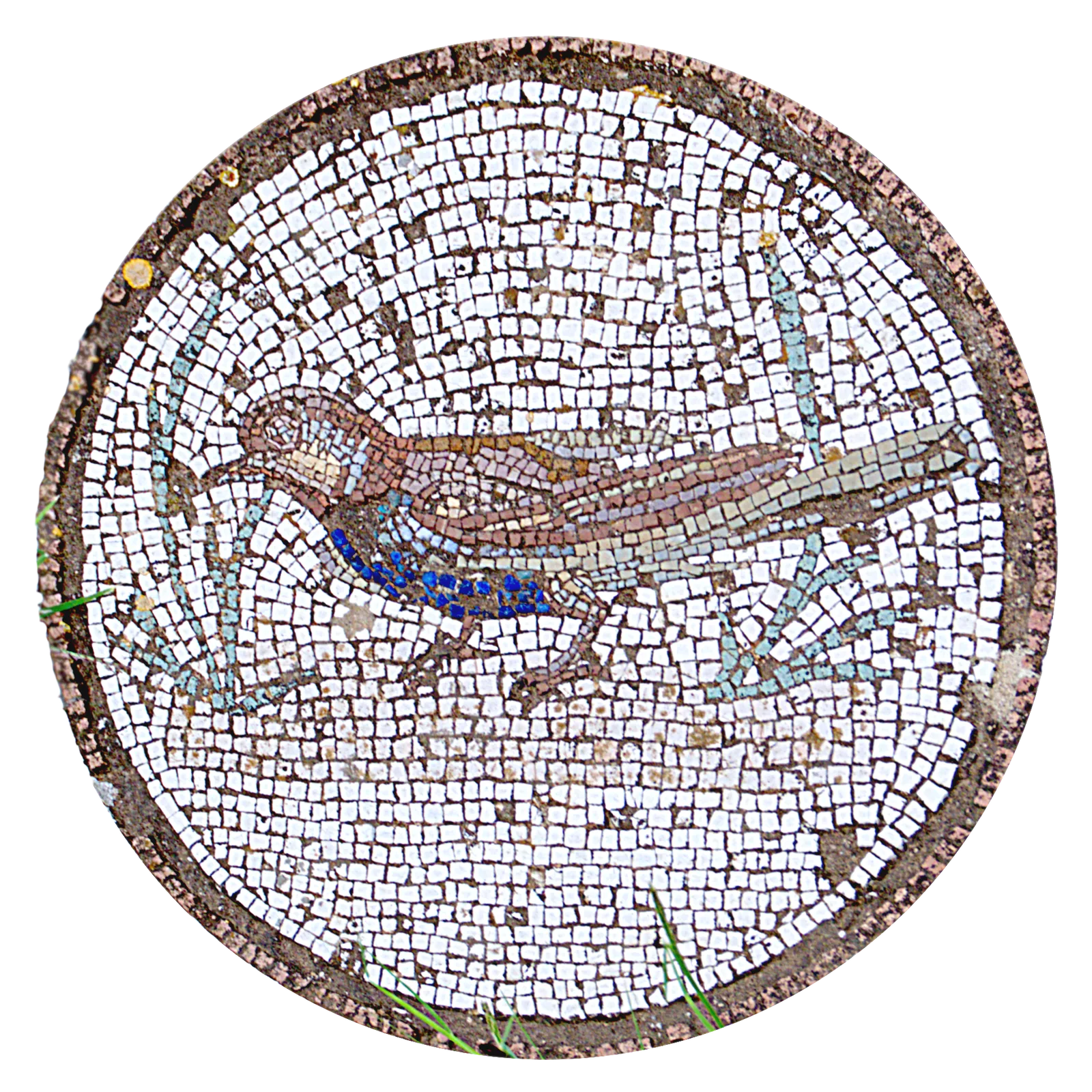 Dettaglio di un mosaico romano con un uccello rinvenuto a Pupput