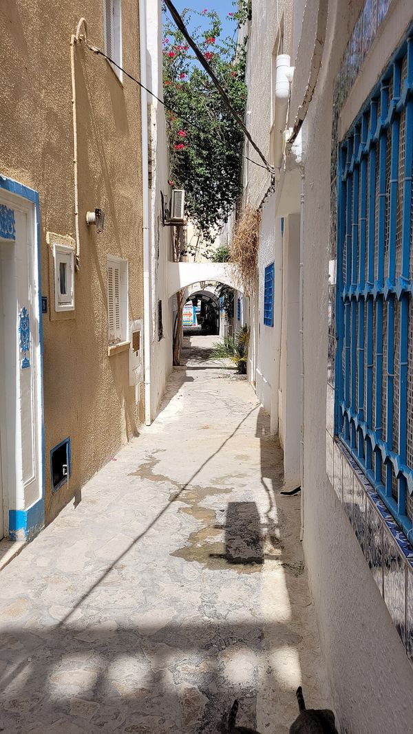 Vicolo bianco con arco e inferriate blu nella medina di Hammamet