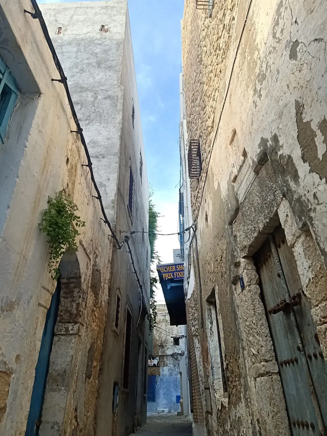 Vicolo bianco e blu nella medina di Hammamet